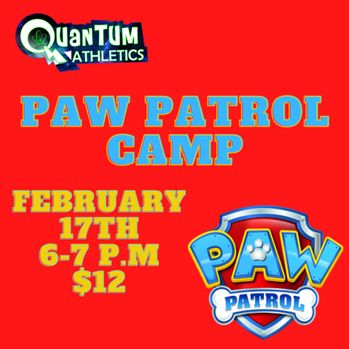 Paw Patrol Camp