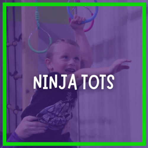 Quantum Website Graphics #1 (2)