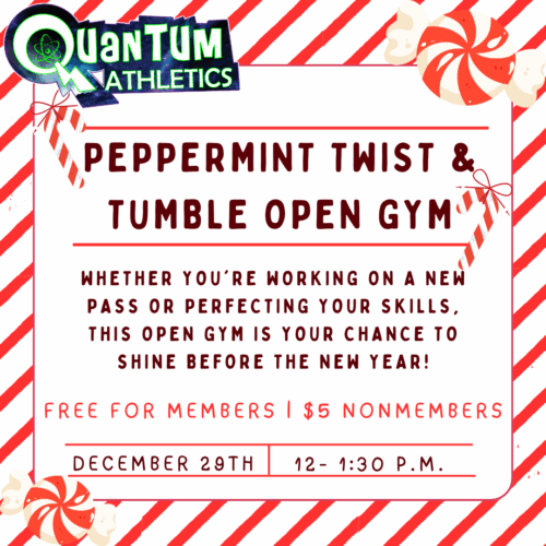 Open gym Dec. 29